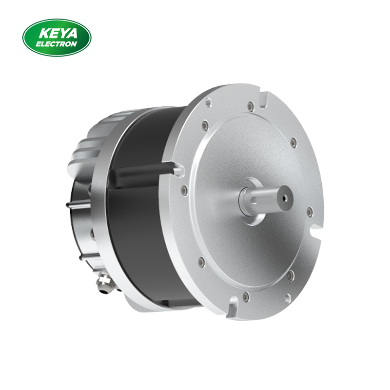 林芝LETOU215系列48V 4000W 1500RPM